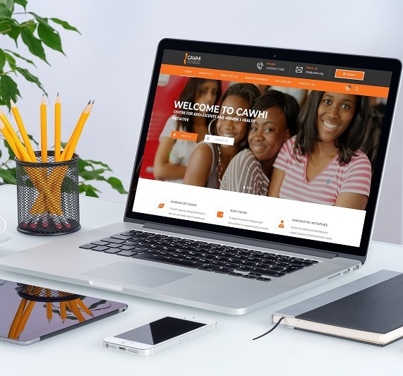 Professional Website Design for Business Owner